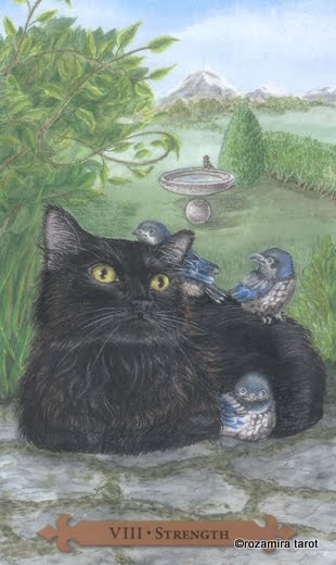 Mystical Cats Tarot